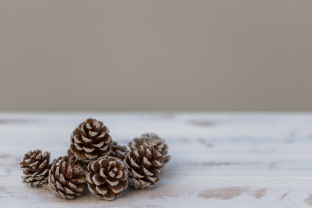 Dried pine balls on a white vintage wooden background