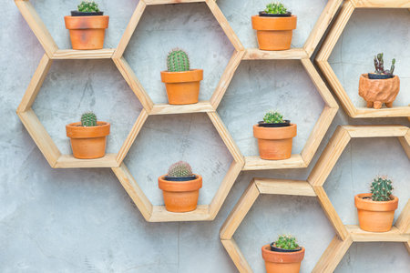 Wooden shelf for placing small cactus pots with vintage plaster wall backgroundの写真素材