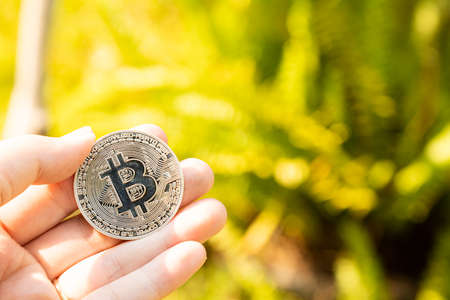Business hand to pick up bitcoins with blur nature backgroundの写真素材