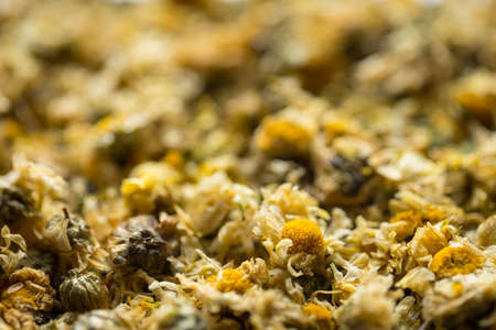 Close up of Dried Chrysanthemum, the herb is often used as a health care drinkの写真素材
