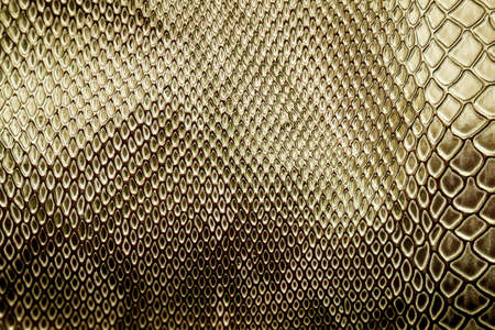 Close up of snake skin texture use for background