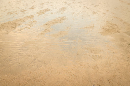 Water erodes the sand on the beach texture nature backgroundの写真素材
