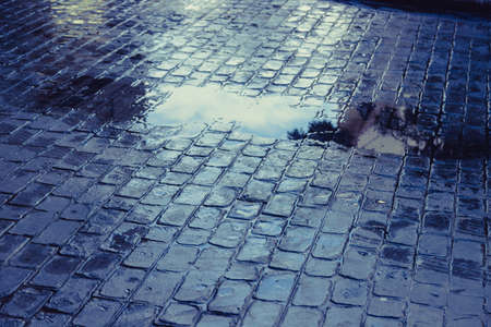Stamp concrete with water wet floor reflection use for backgroundの写真素材