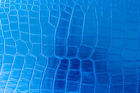 Blue artificial crocodile skin texture used as backgroundの写真素材