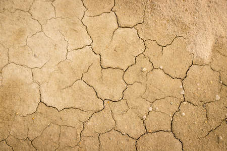 Cracked and dry soil background with no moistureの写真素材