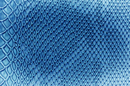 Close up of snake skin texture use for backgroundの写真素材