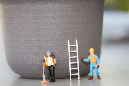 Dorstenia Plant Coconut Tree Care by Miniature Gardenersの写真素材