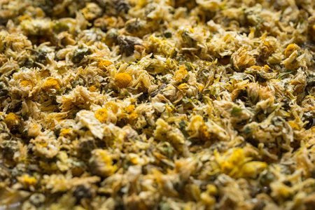 Close up of Dried Chrysanthemum, the herb is often used as a health care drinkの写真素材