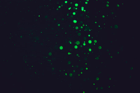 Vintage green bokeh created by neon lights with black backgroundの写真素材