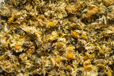 Close up of Dried Chrysanthemum, the herb is often used as a health care drinkの写真素材