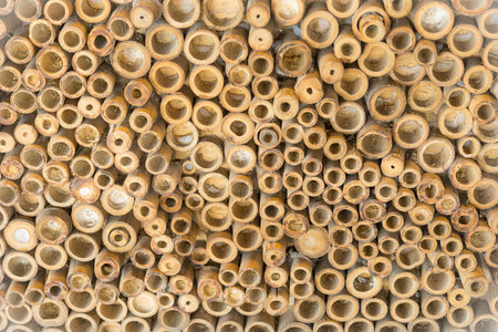 Beautiful nature cutting bamboo sticks texture use for vintage pattern backgroundの写真素材