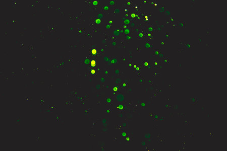 green bokeh natural on black backgroundの写真素材