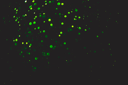 green bokeh natural on black backgroundの写真素材