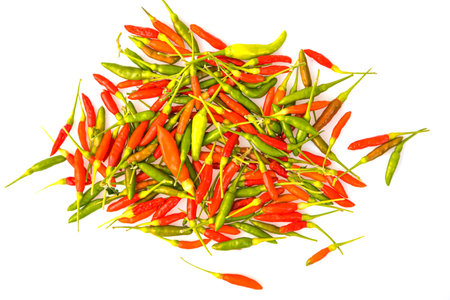 Birdâs eye chilli (Capsicum frutescens) spicy pepper for most Thai dishes, Because it is a chili pepper that gives a very spicy flavor and aroma.の写真素材