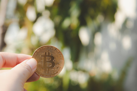 Bitcoin-related transactions have the highest value and market share in the crypto market, It is built on âBlockchainâ which is a technology used for verifying any transaction involving Bitcoin.の写真素材