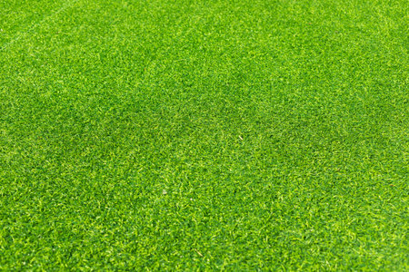 The top view of the grass garden is refreshing to look at. green grass texture background Ideas used for creating green backdrops for photographyの写真素材