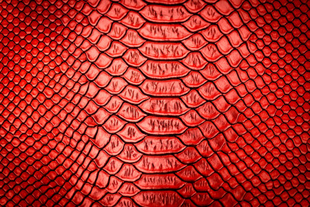 Red snake skin texture pattern can see the surface details use for backgroundの写真素材