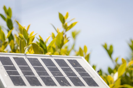Close-up of a solar panel with green leaves and blue sky in the background, renewable energy focus.