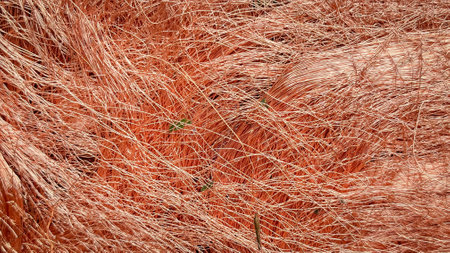 Macro view of tangled copper wire shavings forming a dense mesh.の写真素材