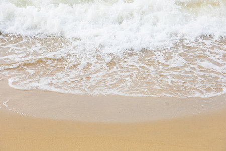 sand on the beach natural for background
