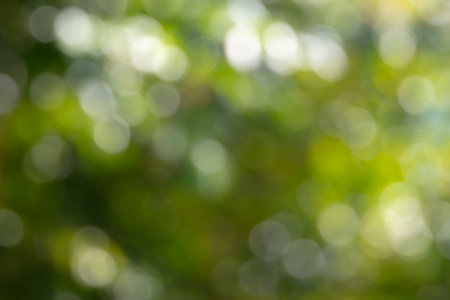 beautiful abstract image of a green bokeh background. The soft, out-of-focus circles create a dreamy and ethereal atmosphere background.の写真素材