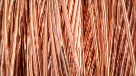 Parallel array of aligned copper wires with detailed textures.の写真素材