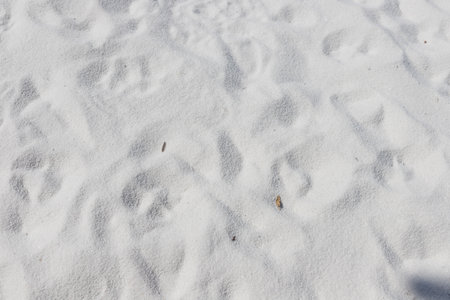 Fine white sand that glistens and reflects the sunlight. use for backgroundの写真素材