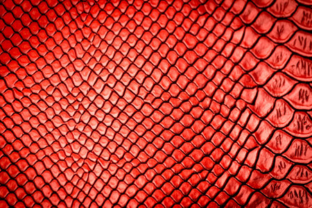 Red snake skin texture pattern can see the surface details use for backgroundの写真素材