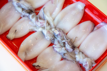 A top-down view of fresh squid arranged neatly on a vibrant red plate. The white bodies of the squid contrast beautifully with the plateの写真素材