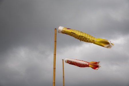 Two koinobori (carp streamers) flying against a cloudy sky. Traditional Japanese decorations for Children's Day, symbolizing strength and courageの写真素材