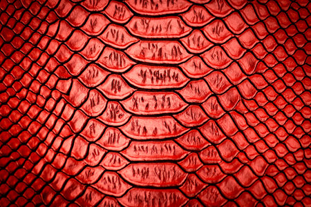 Red snake skin texture pattern can see the surface details use for backgroundの写真素材