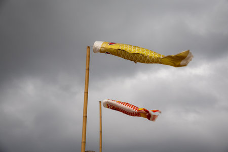 Two koinobori (carp streamers) flying against a cloudy sky. Traditional Japanese decorations for Children's Day, symbolizing strength and courageの写真素材