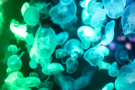 mesmerizing underwater scene featuring a large group of glowing colourful jellyfish illuminated by vibrant blue and green neon lights.の写真素材