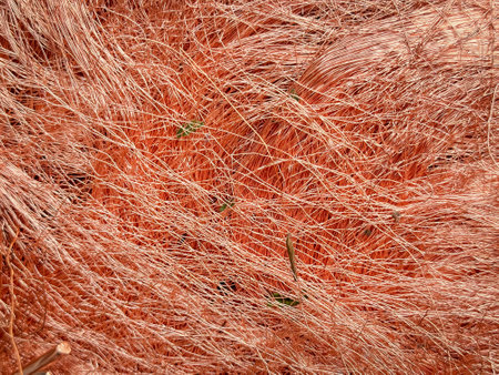 Macro view of tangled copper wire shavings forming a dense mesh.の写真素材