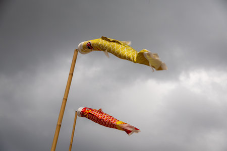 Two koinobori (carp streamers) flying against a cloudy sky. Traditional Japanese decorations for Children's Day, symbolizing strength and courageの写真素材