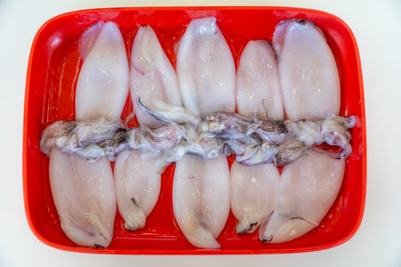 A top-down view of fresh squid arranged neatly on a vibrant red plate. The white bodies of the squid...
