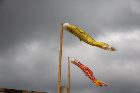 Two koinobori (carp streamers) flying against a cloudy sky. Traditional Japanese decorations for...