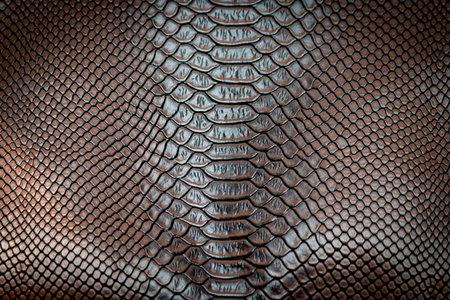 Brown snake skin texture pattern can see the surface details use for backgroundの写真素材