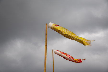 Two koinobori (carp streamers) flying against a cloudy sky. Traditional Japanese decorations for...