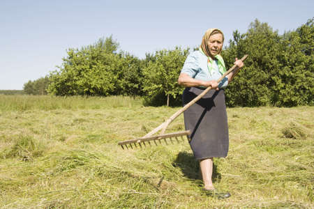 The old woman on the nature in the field with a rake works in the summerの写真素材