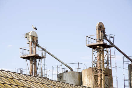 Bird in a nest on a roof of the thrown equipment for grain dryingの写真素材