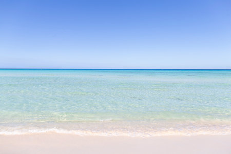 Perfect white sandy beach with calm turquoise ocean water on sunny day with clear blue sky, picturesque tropical vacation viewの写真素材