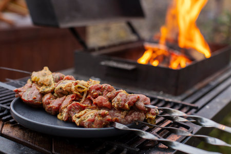 Raw skewers of meat laid out on dark plate, open fire in a grill in the background, grilling,...
