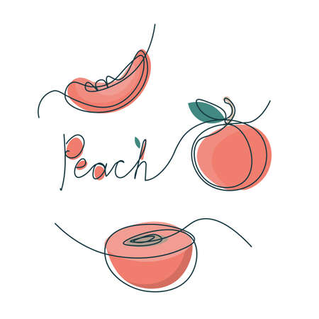 One line peach design. Hand drawn minimalism style vector illustration isolated on white background.のイラスト素材
