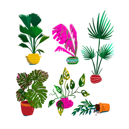 potted plants collection. succulents and house plants. hand drawn vector art. Set of house indoor plant vector.のイラスト素材