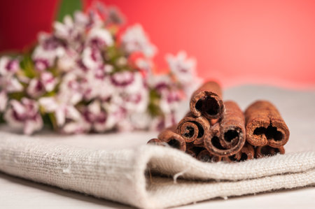 cinnamon sticks on redの写真素材