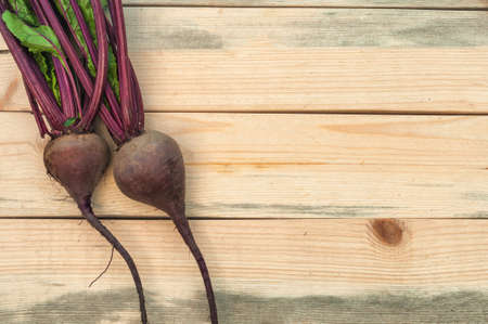 beets on tableの写真素材