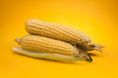 Corn on yellowの写真素材