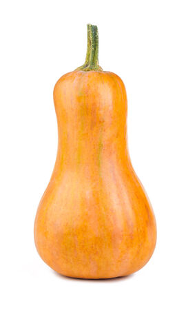 Pumpkin isolated on white backgroundの写真素材