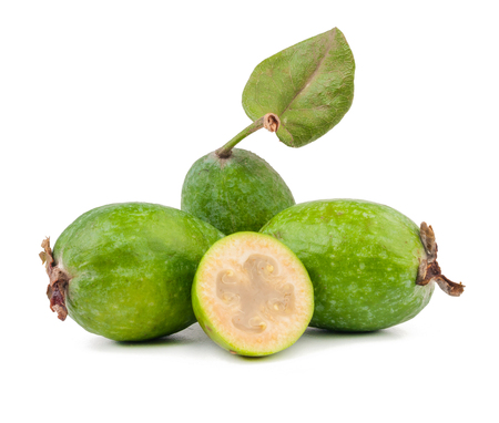 Feijoa isolated on white backgroundの写真素材